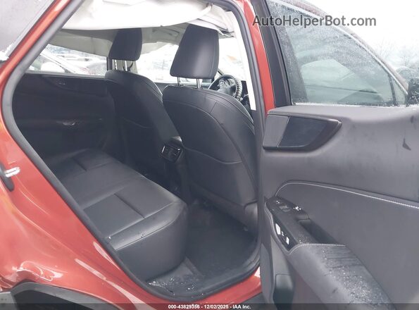 2T2GDCAZ8PC003435 2023 LEXUS NX 250 Orange VIN կոդի պիտակի տեսք