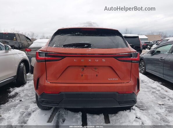 2T2GDCAZ8PC003435 2023 LEXUS NX 250 Orange 