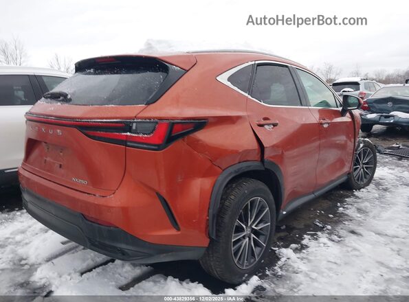 2T2GDCAZ8PC003435 2023 LEXUS NX 250 Orange Հետևի աջ