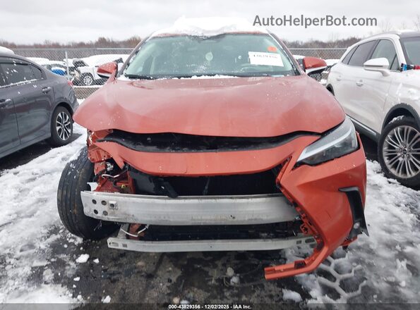 2T2GDCAZ8PC003435 2023 LEXUS NX 250 Orange Սալոնի հետևի տեսք