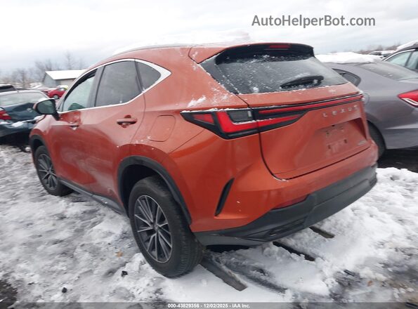 2T2GDCAZ8PC003435 2023 LEXUS NX 250 Orange Հետևի ձախ