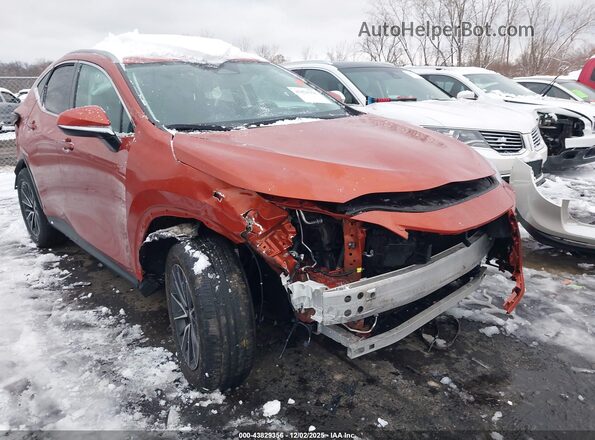 2T2GDCAZ8PC003435 2023 LEXUS NX 250 Orange Դիմացի տեսք