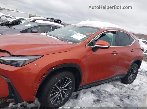 2T2GDCAZ8PC003435 2023 LEXUS NX 250 Orange 