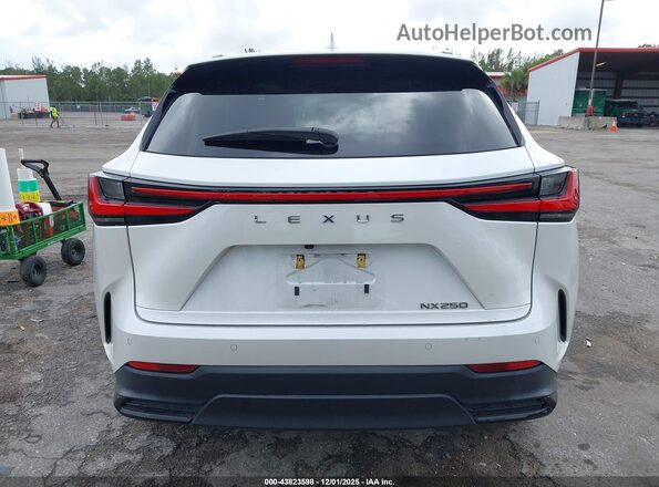 2T2GDCAZ8PC005296 2023 LEXUS NX 250 White 