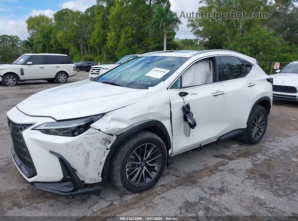 2T2GDCAZ8PC005296 2023 LEXUS NX 250 White წინა ხედი