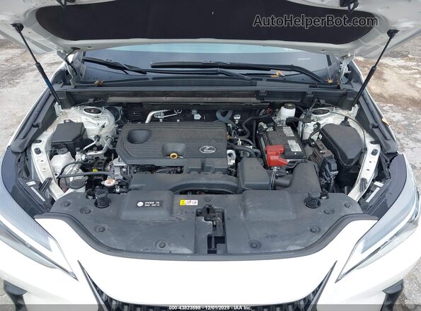 2T2GDCAZ8PC005296 2023 LEXUS NX 250 White უკანა ხედი