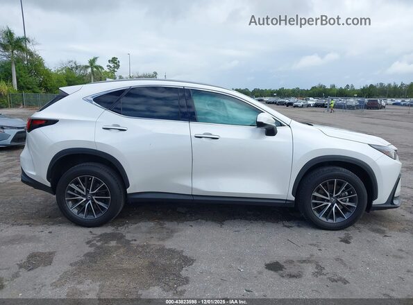 2T2GDCAZ8PC005296 2023 LEXUS NX 250 White უკანა სალონის ხედი