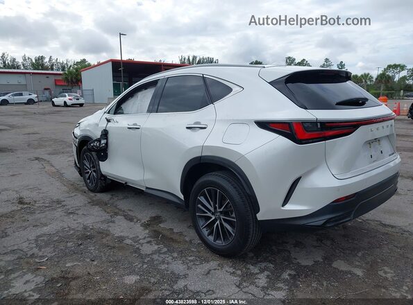 2T2GDCAZ8PC005296 2023 LEXUS NX 250 White უკანა მარცხენა