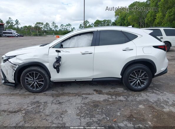 2T2GDCAZ8PC005296 2023 LEXUS NX 250 White სალონის 360-გრადუსიანი ხედი