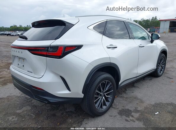 2T2GDCAZ8PC005296 2023 LEXUS NX 250 White უკანა მარჯვენა