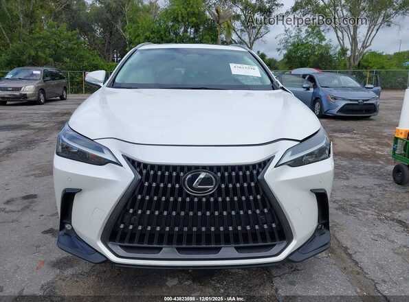 2T2GDCAZ8PC005296 2023 LEXUS NX 250 White ხელსაწყოთა პანელის ხედი