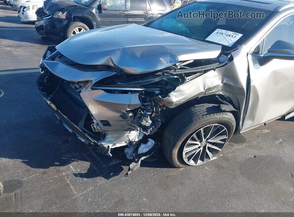 2T2GDCAZXSC019452 2025 LEXUS NX 250 Beige Widok z przodu