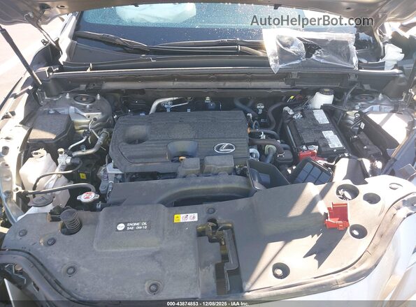 2T2GDCAZXSC019452 2025 LEXUS NX 250 Beige Widok z tyłu
