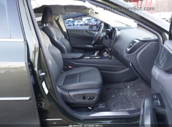 2T2GDCEZ8NC001983 2022 LEXUS NX 250 Green 