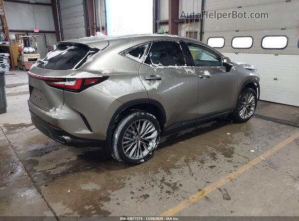 2T2GGCEZ0PC017136 2023 LEXUS NX 350 Gray Rear right