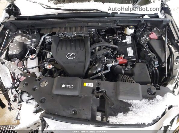 2T2GGCEZ0PC017136 2023 LEXUS NX 350 Gray Rear view