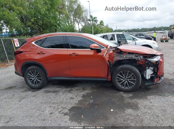 2T2GGCEZ1PC023916 2023 LEXUS NX 350 Orange Rear interior view