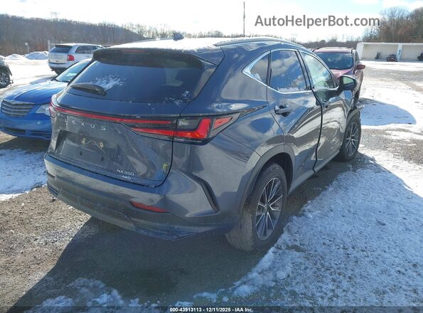 2T2GGCEZ1RC043389 2024 LEXUS NX 350 Gray Задня права чверть