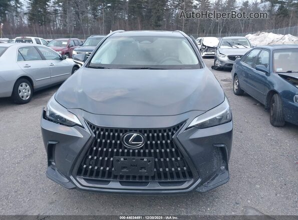 2T2GGCEZ3PC028776 2023 LEXUS NX 350 Gray 