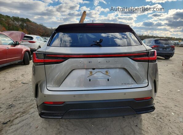 2T2GGCEZ3RC036945 2024 LEXUS NX Silver Вид ззаду