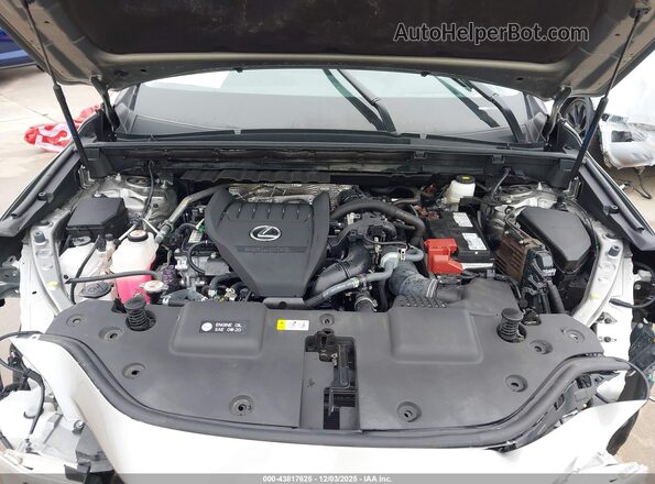 2T2GGCEZ4RC052099 2024 LEXUS NX 350 Серый Вид сзади