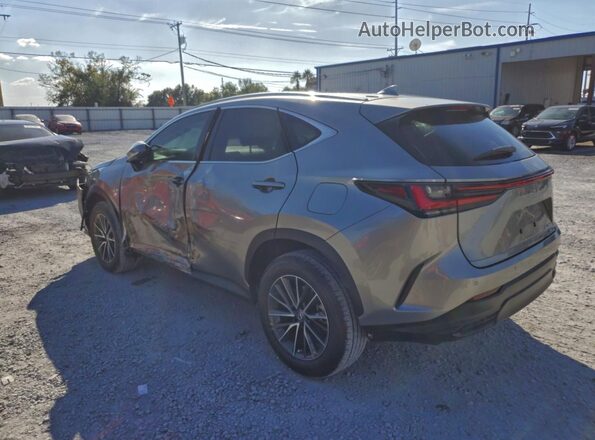 2T2GGCEZ7PC021555 2023 LEXUS NX Gray 