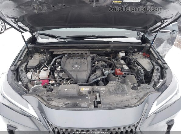 2T2GGCEZ9SC069583 2025 LEXUS NX 350 Серый Вид сзади