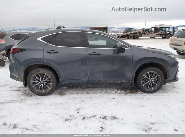 2T2GGCEZ9SC069583 2025 LEXUS NX 350 Серый Вид задней части салона