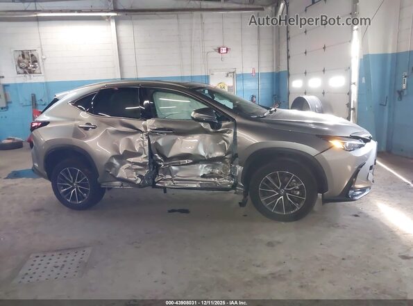 2T2GGCEZXRC058991 2024 LEXUS NX 350 Gray Սալոնի հետևի տեսք
