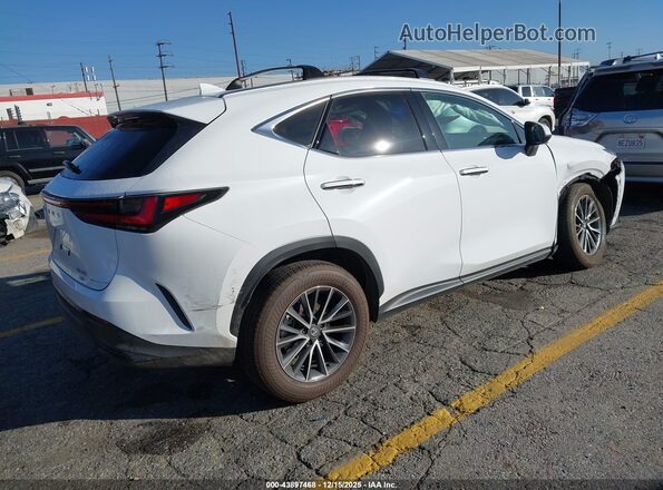 2T2GGCEZXTC095580 2026 LEXUS NX White Trasero derecho