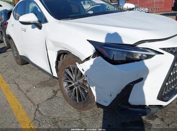 2T2GGCEZXTC095580 2026 LEXUS NX White Vista frontal