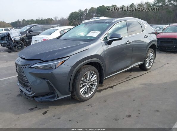 2T2GKCEZ2SC039596 2025 LEXUS NX 350H Gray Przód lewy