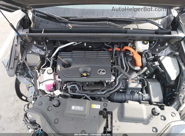 2T2GKCEZ2SC039596 2025 LEXUS NX 350H Gray Widok z tyłu
