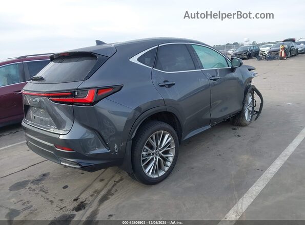 2T2GKCEZ2SC039596 2025 LEXUS NX 350H Gray Tył prawy