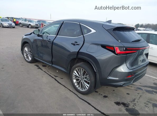 2T2GKCEZ2SC039596 2025 LEXUS NX 350H Gray Tył lewy
