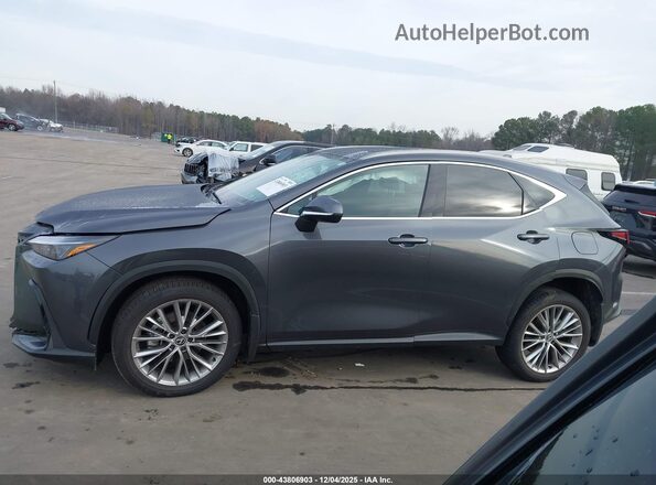 2T2GKCEZ2SC039596 2025 LEXUS NX 350H Gray Widok wnętrza z tyłu