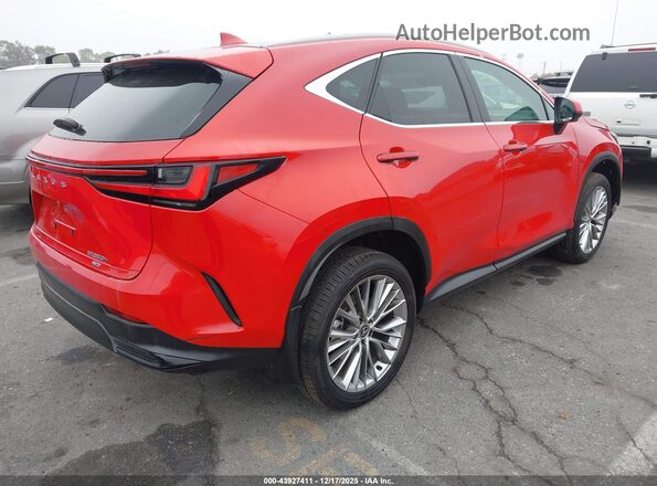 2T2GKCEZ4SC042046 2025 LEXUS NX 350H Red უკანა მარჯვენა