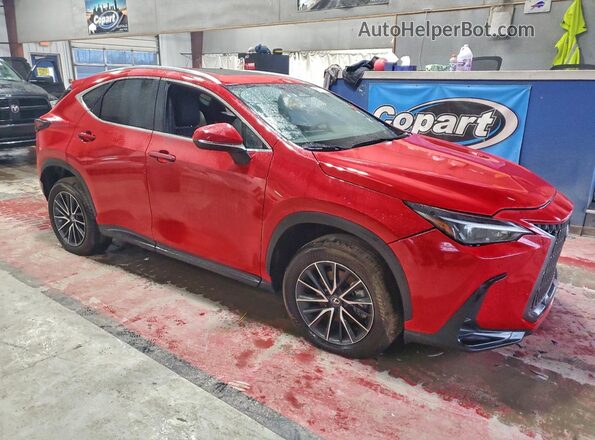 2T2GKCEZ5RC025072 2024 LEXUS NX Red Առջևի աջ