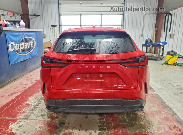 2T2GKCEZ5RC025072 2024 LEXUS NX Red Հետևի տեսք