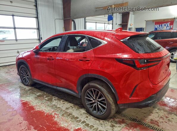 2T2GKCEZ5RC025072 2024 LEXUS NX Red Հետևի ձախ
