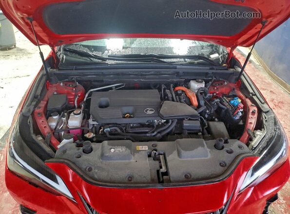 2T2GKCEZ5RC025072 2024 LEXUS NX Red Շարժիչի բաժամունքի տեսք