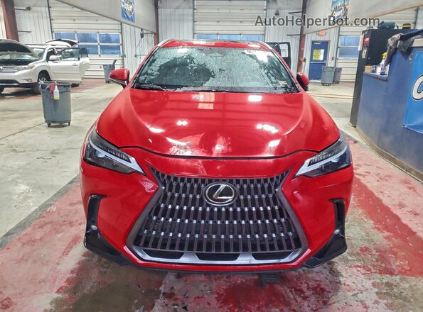 2T2GKCEZ5RC025072 2024 LEXUS NX Red Դիմացի տեսք