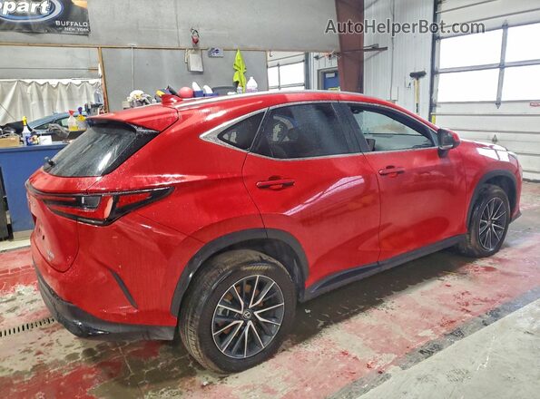 2T2GKCEZ5RC025072 2024 LEXUS NX Red Հետևի աջ
