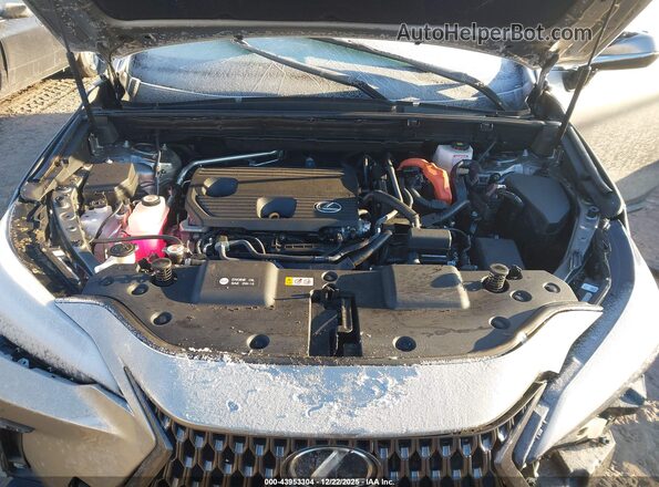 2T2GKCEZ5RC030045 2024 LEXUS NX 350H Brown უკანა ხედი
