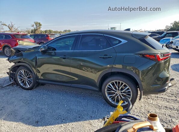 2T2GKCEZ7NC002998 2022 LEXUS NX Brown უკანა მარცხენა