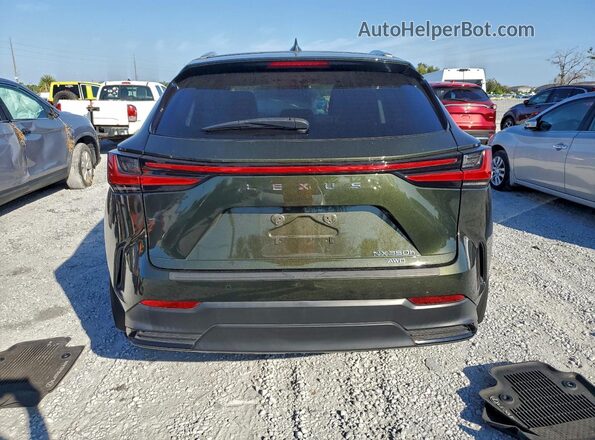 2T2GKCEZ7NC002998 2022 LEXUS NX Brown უკანა ხედი