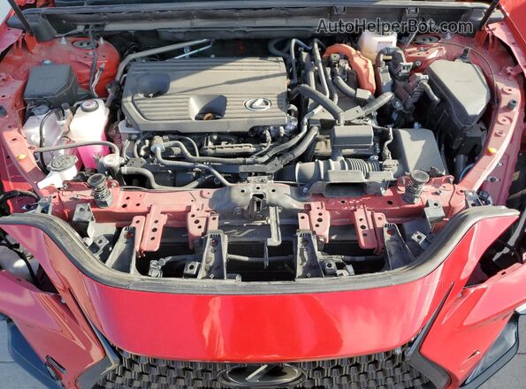 2T2GKCEZ9RC029237 2024 LEXUS NX Красный Вид подкапотного пространства