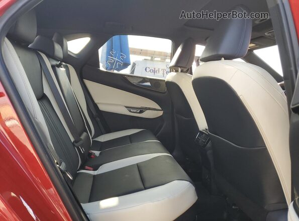 2T2GKCEZ9RC029237 2024 LEXUS NX Красный Вид задней части салона