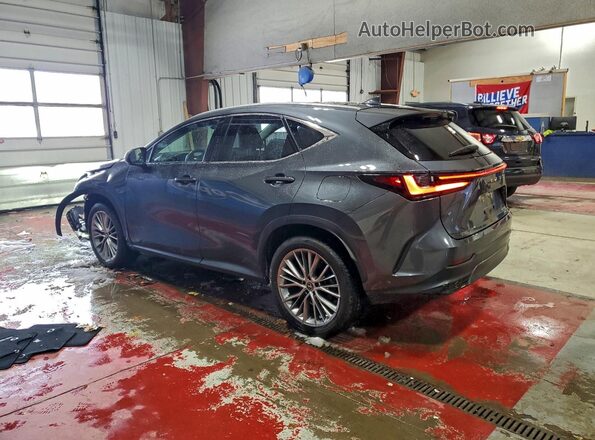 2T2HGCEZ1RC047608 2024 LEXUS NX Gray Tył lewy