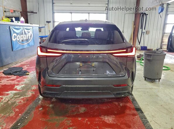 2T2HGCEZ1RC047608 2024 LEXUS NX Gray Widok z tyłu